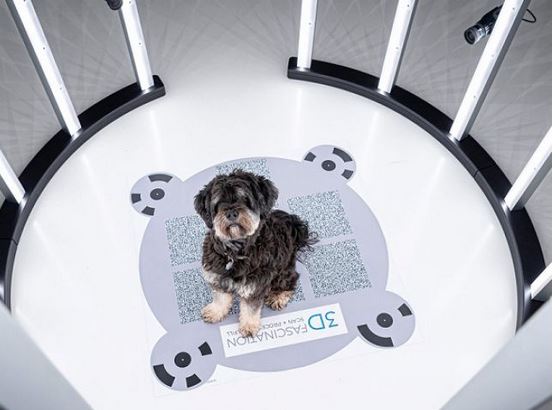 3DFascination Full Body Scanner 3 3DFascination Full Body Scanner
