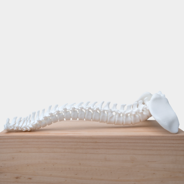 phrozen ceramic white-resin 3DHUBgr