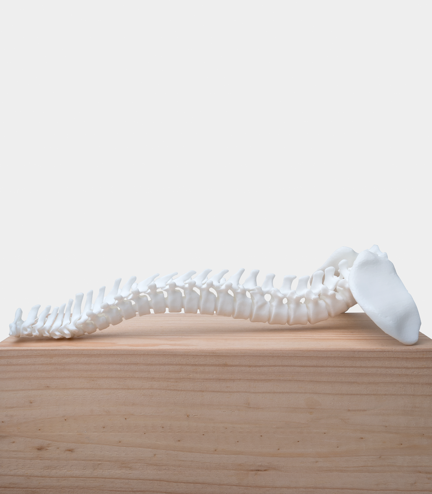 phrozen-ceramic-white-resin-3DHUBgr-2 phrozen ceramic white-resin 3DHUBgr